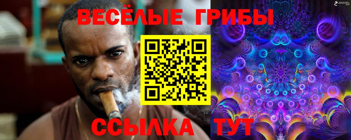 Галлюциногенные грибы ЛСД Саров